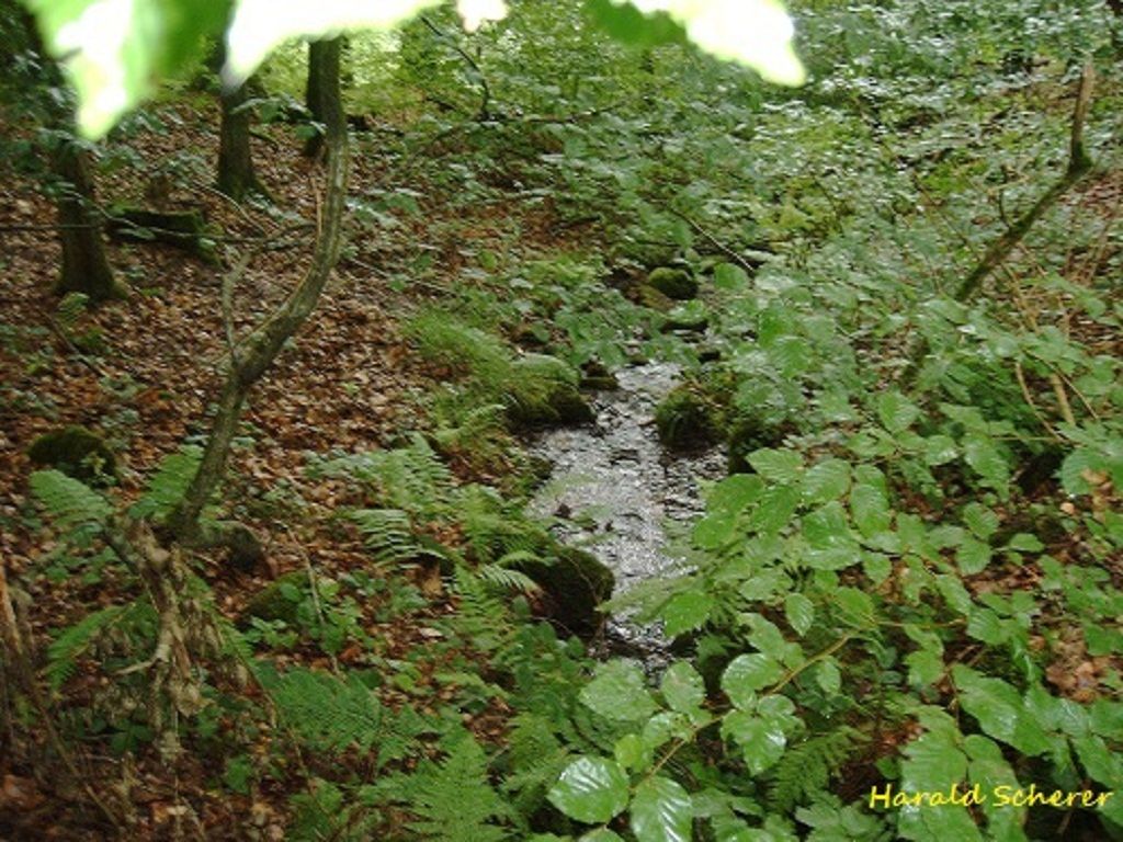 DHW0080.jpg